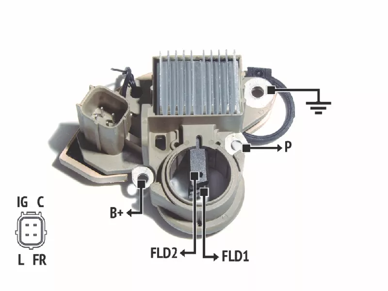 RNMI TJ0091         
